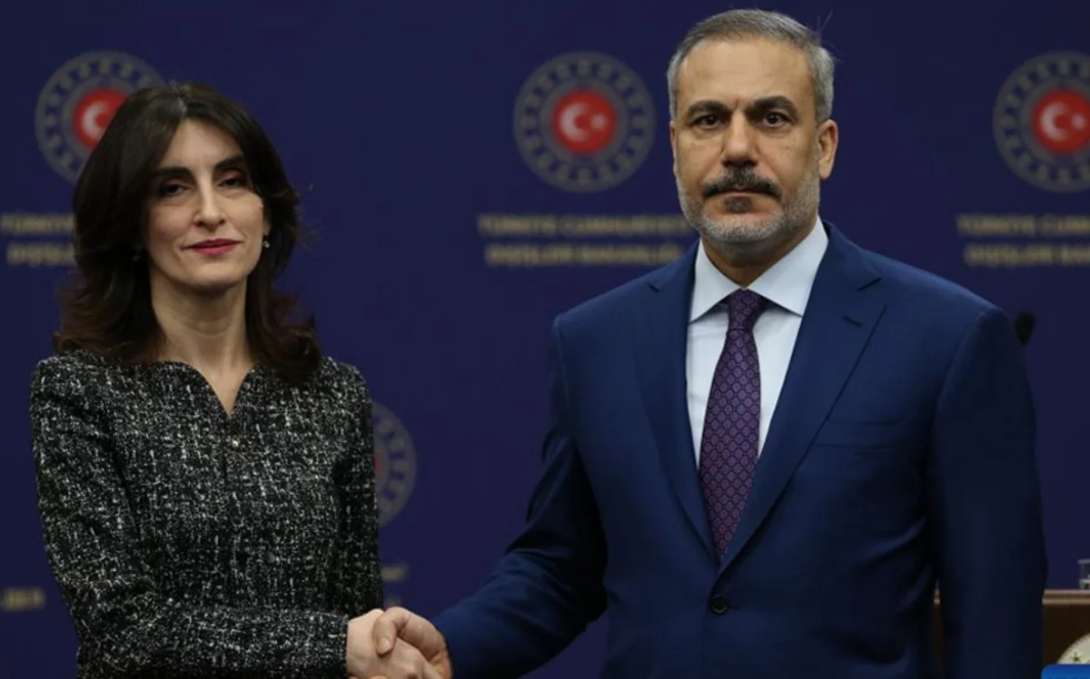 Türkiyə və Gürcüstan XİN başçıları təyyarə qəzası barədə müzakirə aparıblar
