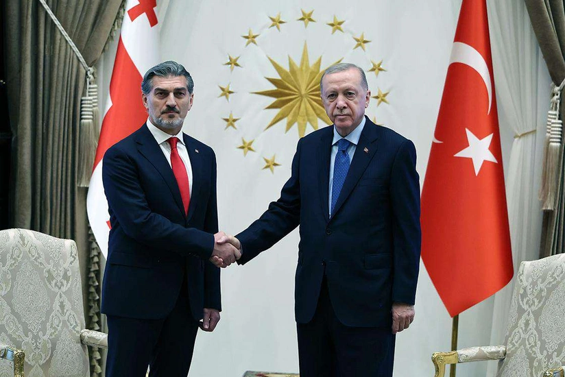 Gürcüstan Prezidenti Ərdoğana başsağlığı verib