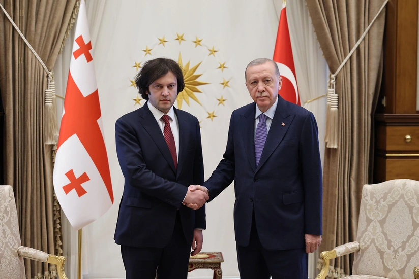 Эрдоган обсудил с Кобахидзе ход спасательных работ на месте авиакатастрофы