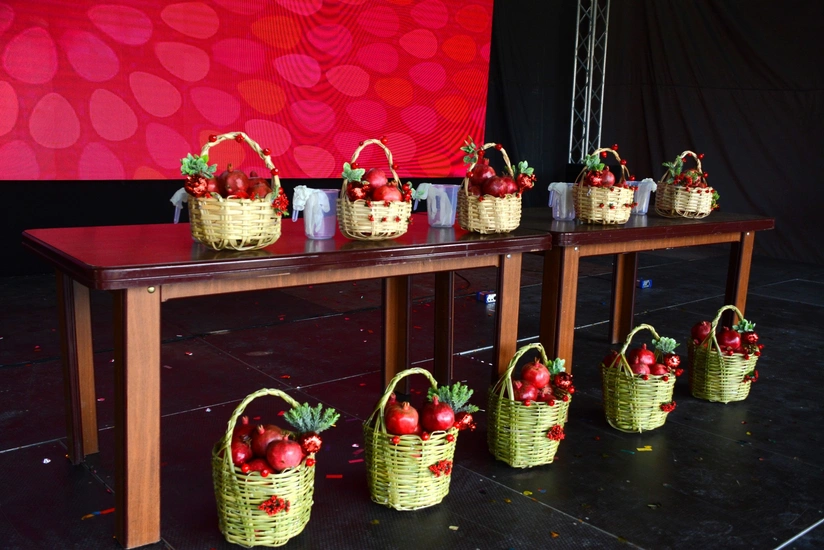 Göyçayda Nar Festivalı çərçivəsində Aqrar Biznes Festivalı keçirilib