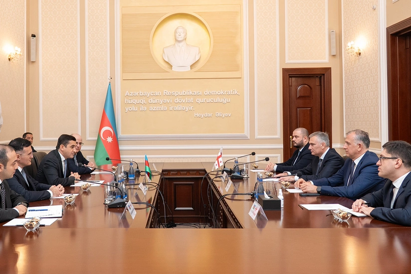 Gürcüstanın ədliyyə naziri Azərbaycana gəlib