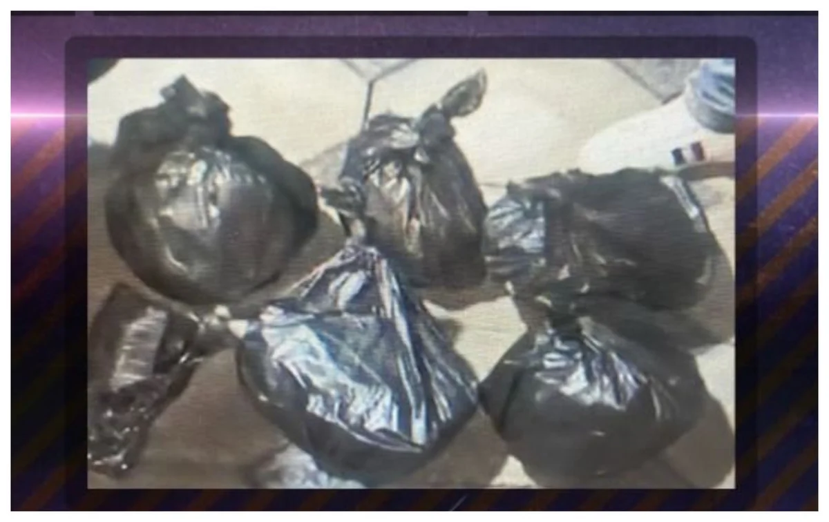 Baş İdarə əməliyyat keçirib, 6 nəfər saxlanılıb, 21 kq marixuana aşkarlanıb