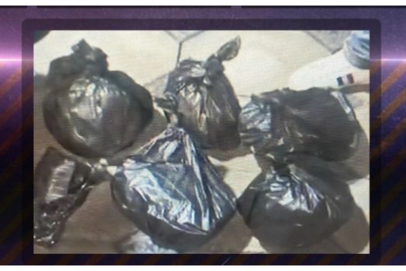 Baş İdarə əməliyyat keçirib, 6 nəfər saxlanılıb, 21 kq marixuana aşkarlanıb