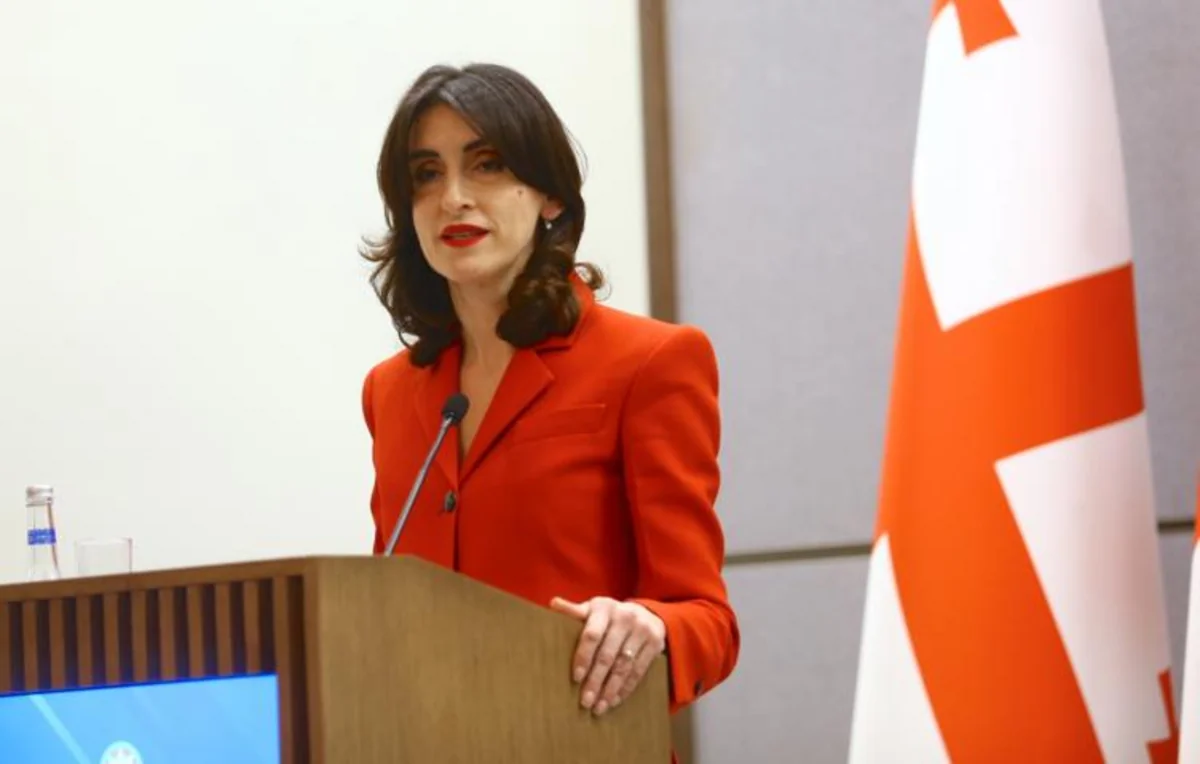 Gürcüstan XİN: Aİ ölkəmizlə münasibətlərdə özünü dalana salıb
