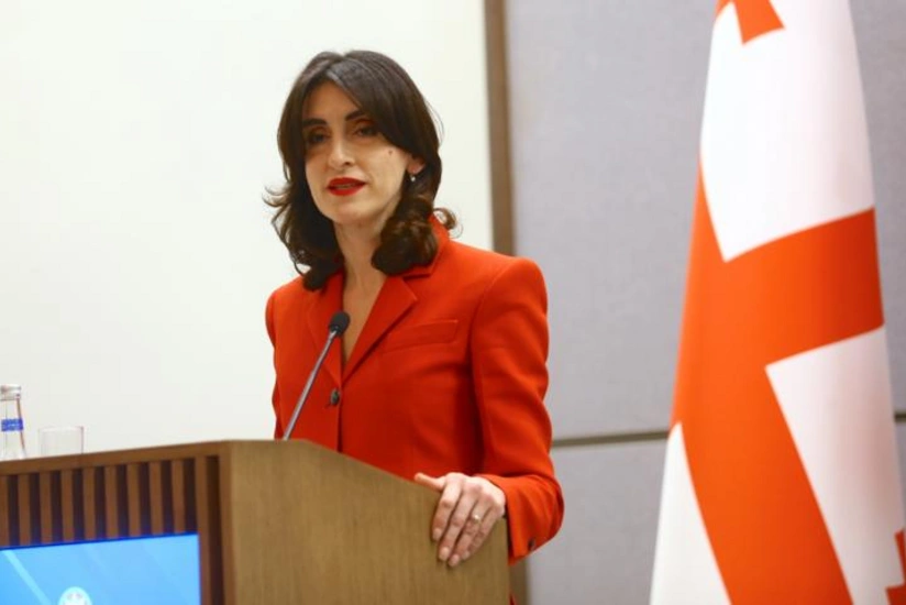 МИД Грузии: ЕС загнал себя в тупик в отношениях с нашей страной