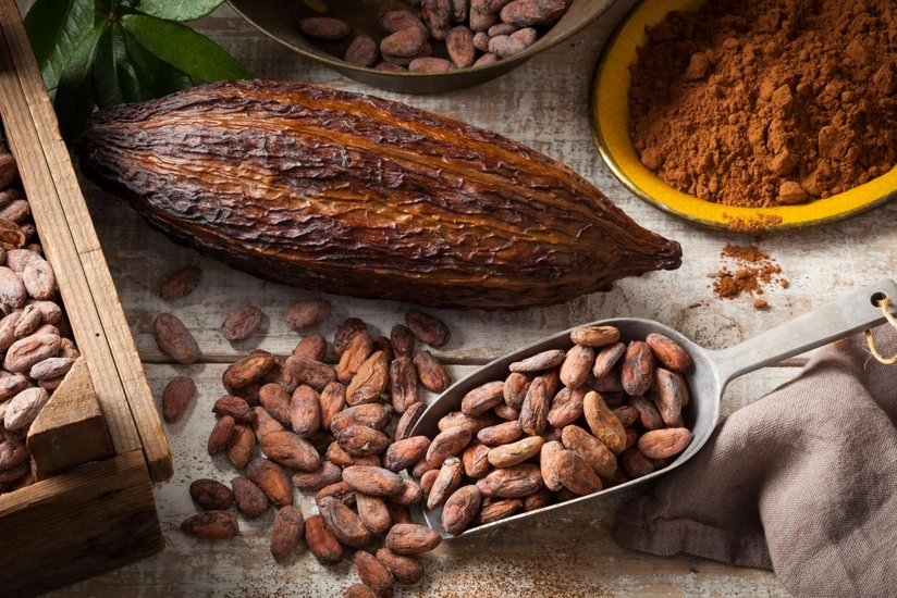 Стоимость фьючерса какао-бобов опустилась на более чем 6% впервые с 2024 года