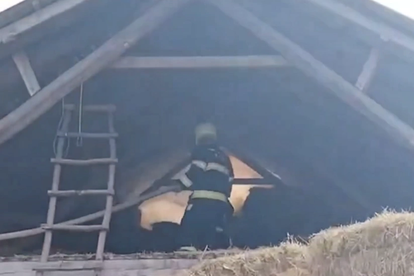 Qəbələdə tövlədə 10 ton ot bağlaması yanıb