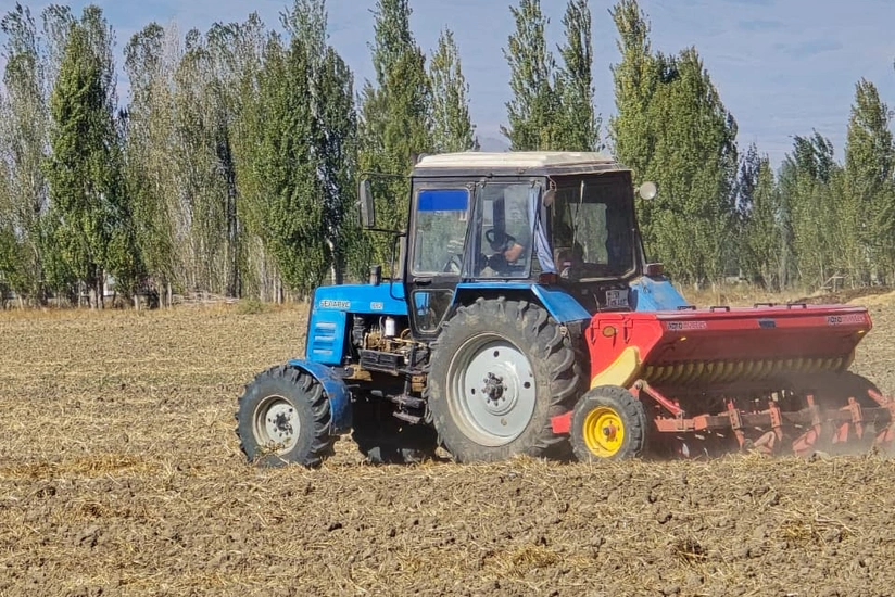 Naxçıvanda 8 min hektara yaxın ərazidə səpin aparılıb