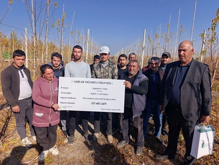 Azərbaycanda meyvə bağları üzrə böyük məbləğdə aqrar sığorta ödənişi edilib