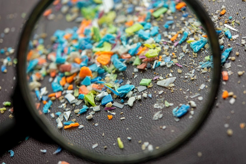 Ученые указали на связь микропластика с риском сердечно-сосудистых заболеваний