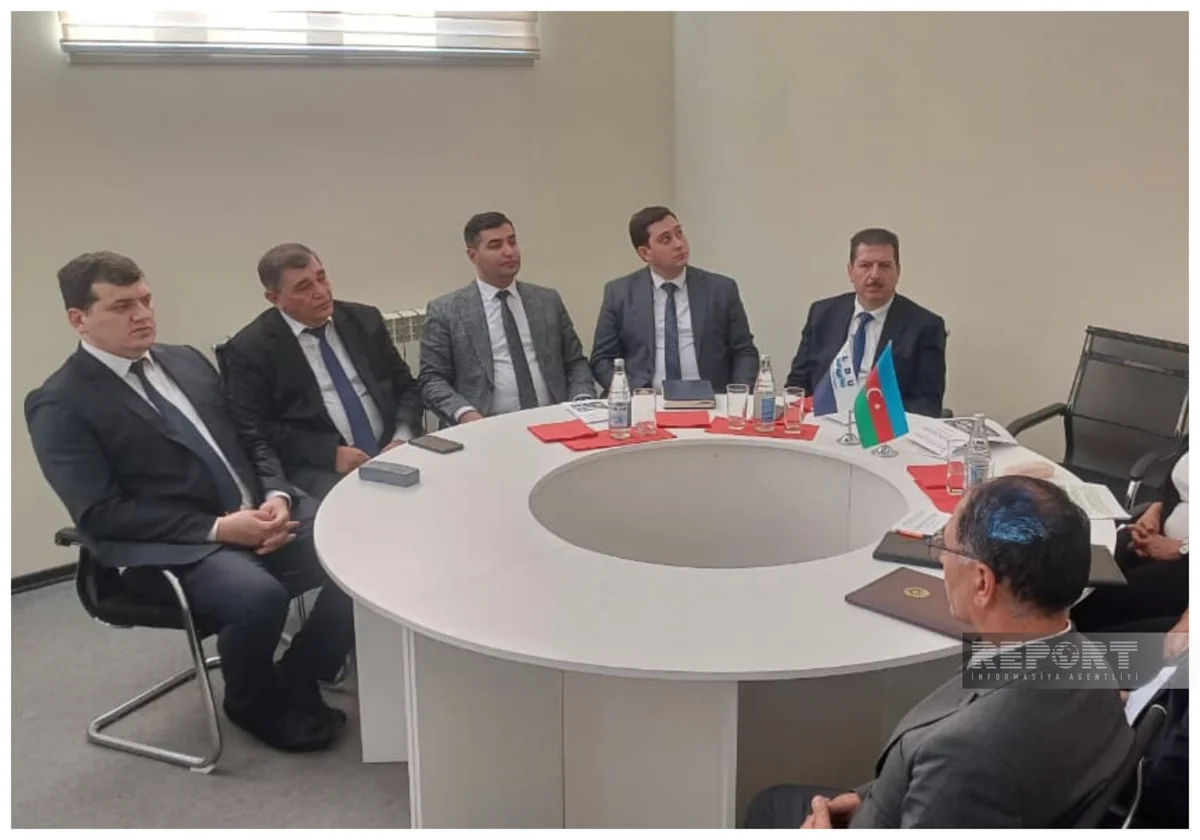 Lənkəranda ekoloji təhlükəsizliyə həsr edilən konfrans keçirilib