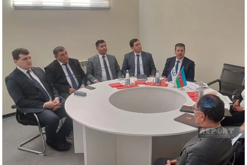 Lənkəranda ekoloji təhlükəsizliyə həsr edilən konfrans keçirilib