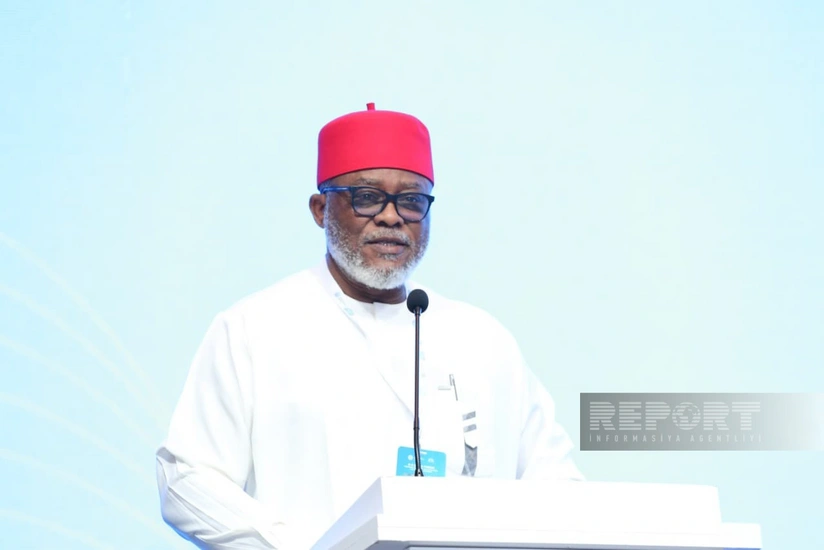 Дили Эзуга: D-8 - платформа, объединяющая страны-участницы ради защиты общих ценностей