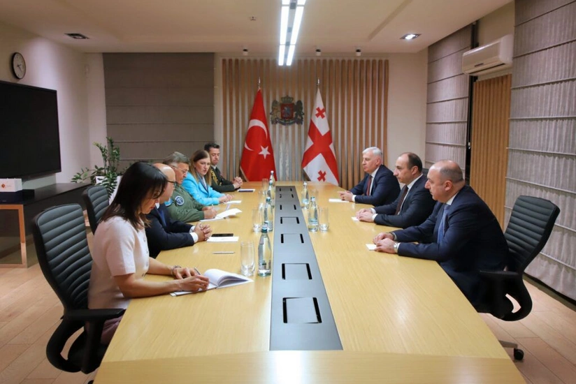 Gürcüstanın daxili işlər naziri türkiyəli generalla təyyarə qəzasını müzakirə edib