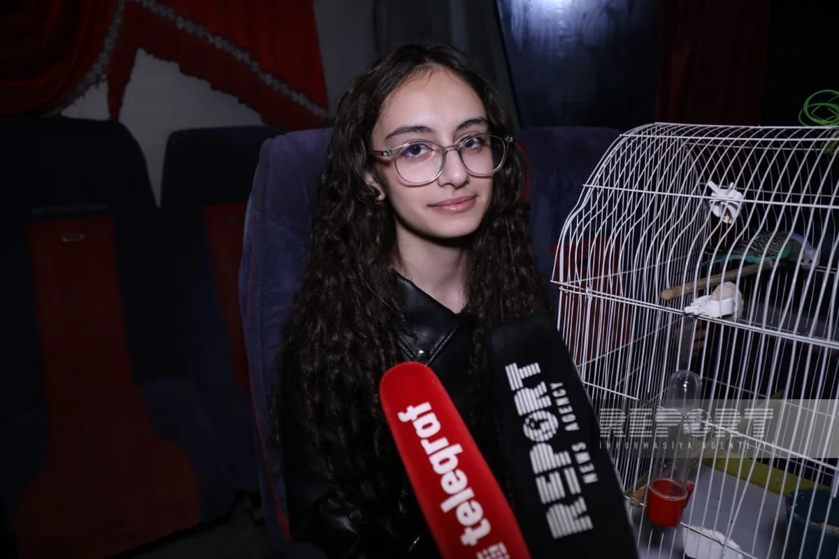 Zəngilan sakini: Kəndimizə ilk dəfə getdiyimdən çox həyəcanlıyam