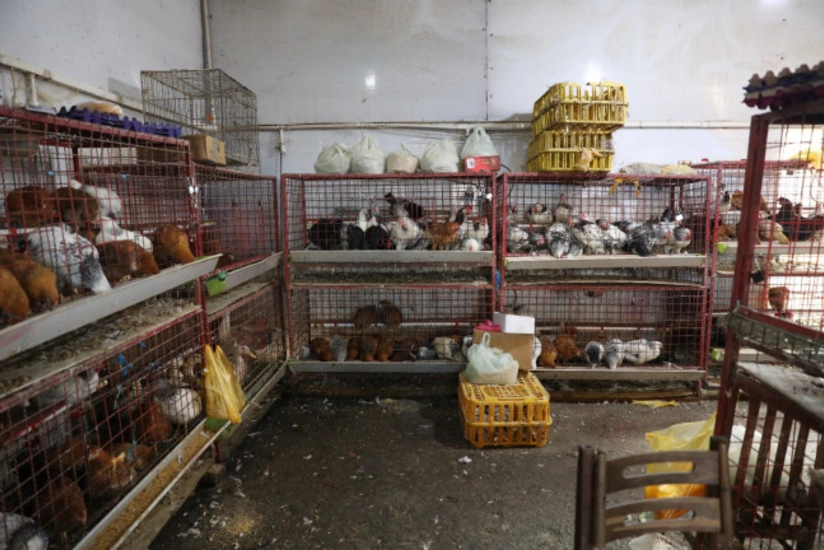 8-ci km bazarında quş kəsimi yerinin fəaliyyəti dayandırılıb