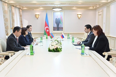 Azerbaijan, Slovakia discuss development of parliamentary relations