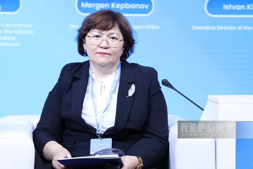 Qazaxıstan Türk dünyasının QHT şəbəkəsinin inkişafı ilə bağlı işləri davam etdirəcək