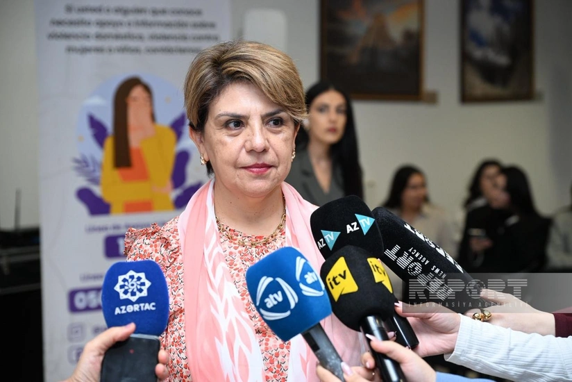 Səfir: Qadınlara qarşı zorakılıq problemini yalnız birgə səylərlə həll etmək olar