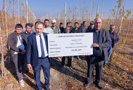 Azərbaycanda meyvə bağları üzrə ən böyük aqrar sığorta ödənişi edilib