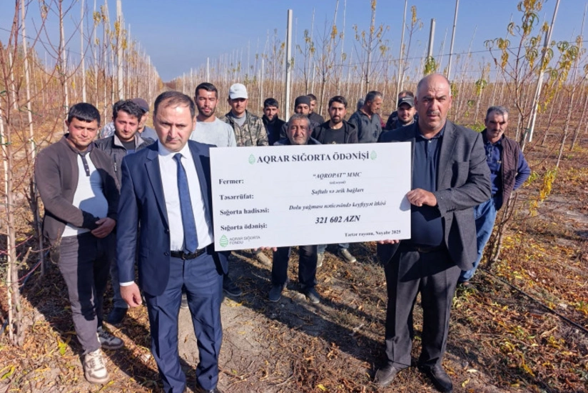 Azərbaycanda meyvə bağları üzrə ən böyük aqrar sığorta ödənişi edilib