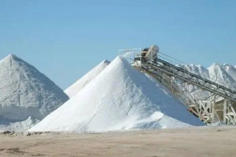 Naxçıvandakı duz istehsalı müəssisəsində texniki müayinə aparılacaq