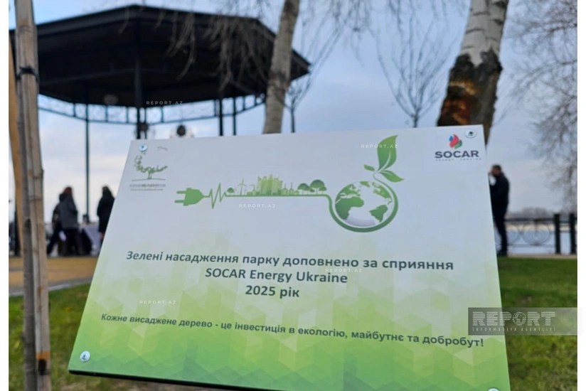 В Киеве высадили деревья по инициативе Азербайджана