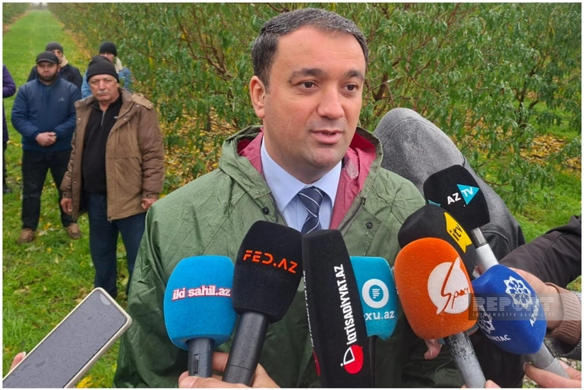 Агрострахование в Азербайджане переходит в цифровой формат