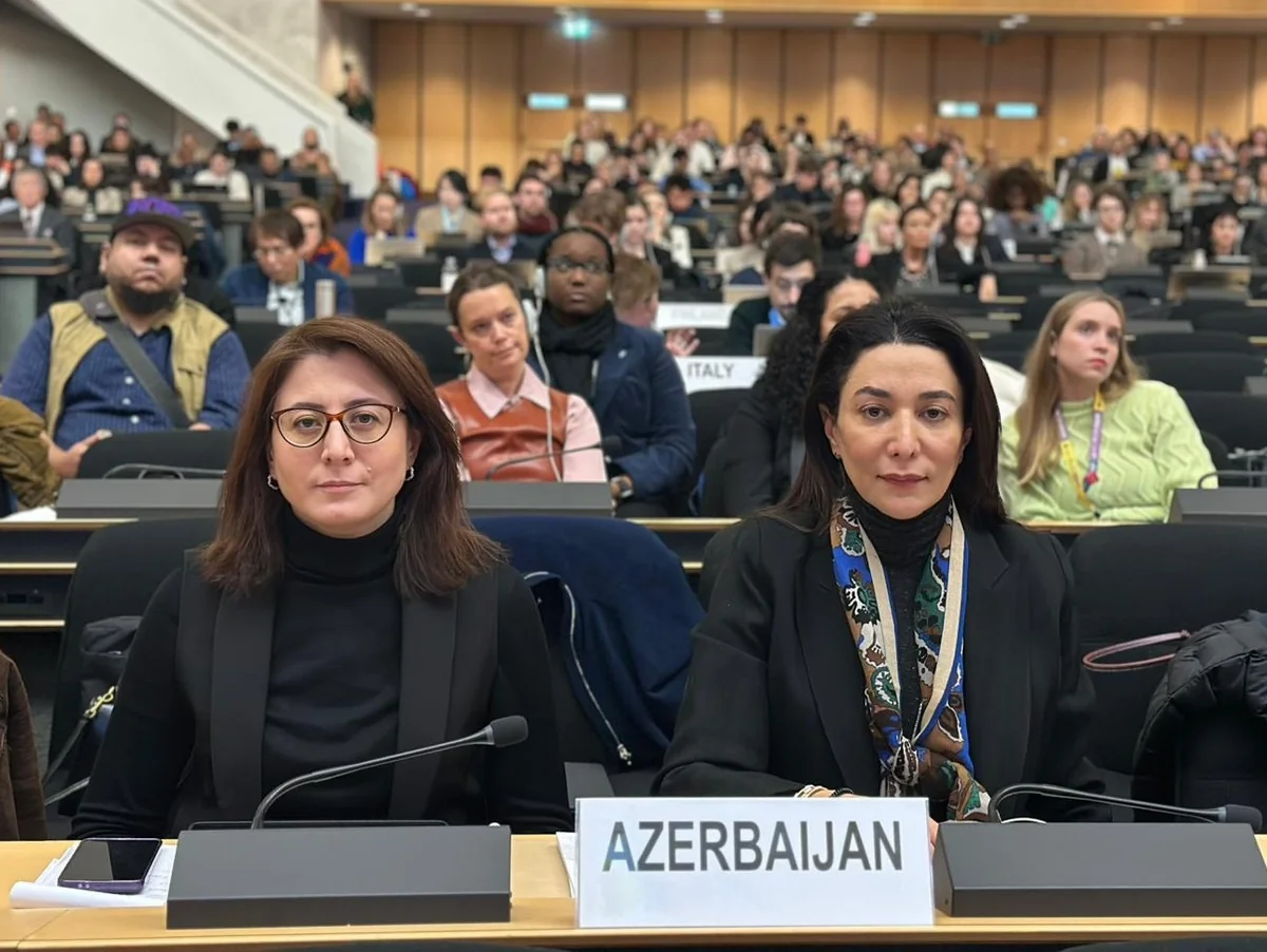 Səbinə Əliyeva BMT Forumunda azad edilmiş ərazilərdəki mina problemindən danışıb