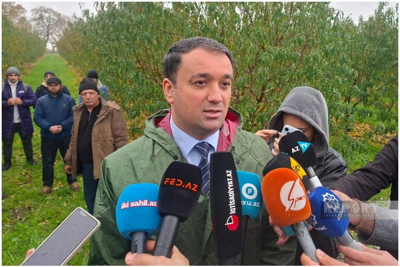 Azərbaycanda meyvə bağları üzrə 1 milyon manata yaxın sığorta ödənişi verilib