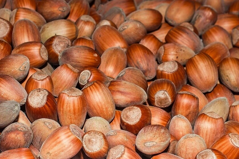 Azərbaycan Suriyaya meşə fındığı satmağa başlayıb