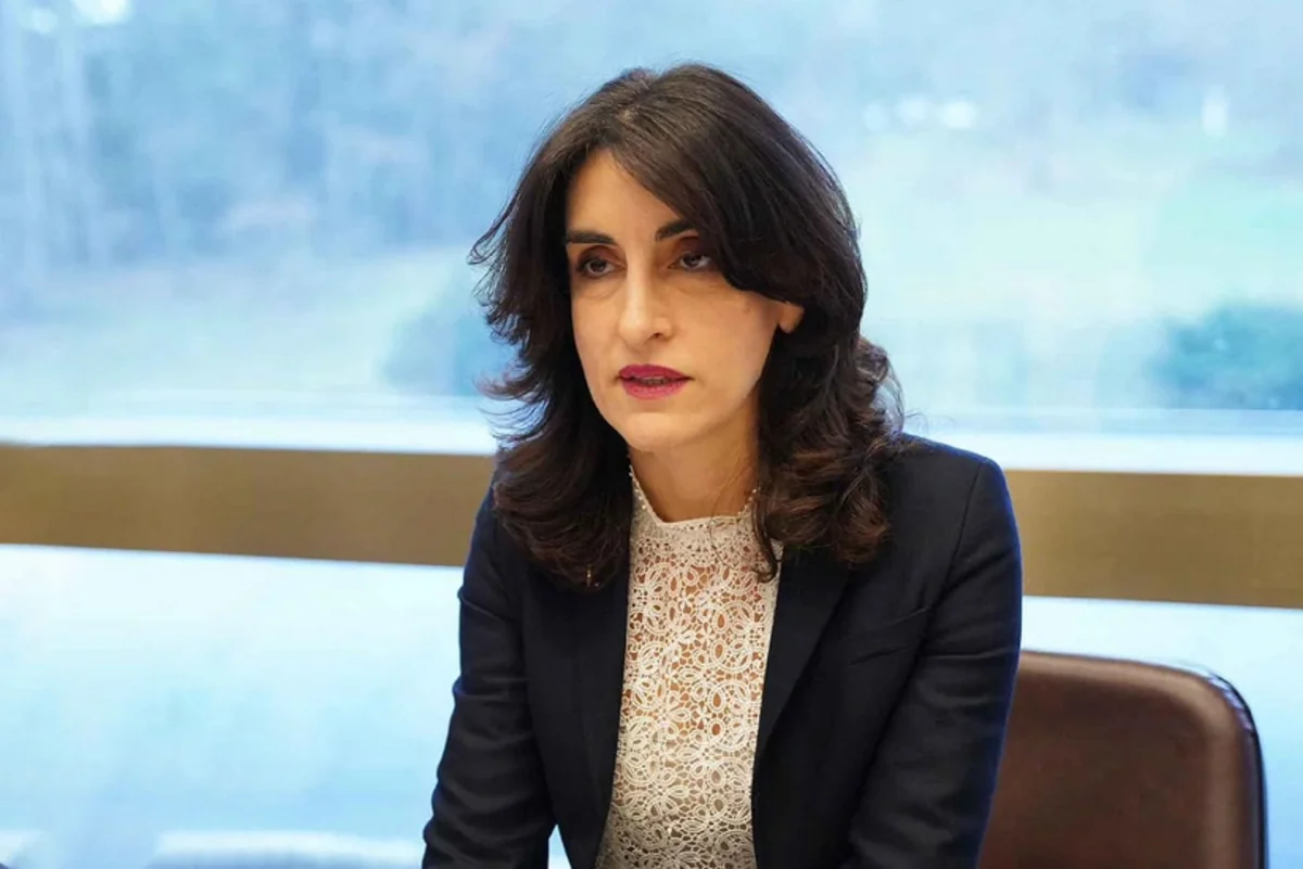 Maka Boçorişvili: İnzibati Məcəllənin sərtləşdirilməsi toplaşmaq azadlığını məhdudlaşdırmır