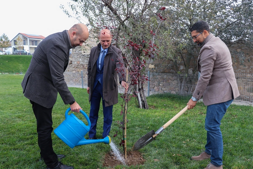 QDF-in dəstəyi ilə Horovlu kəndində 1 000-dən çox ağac əkilib