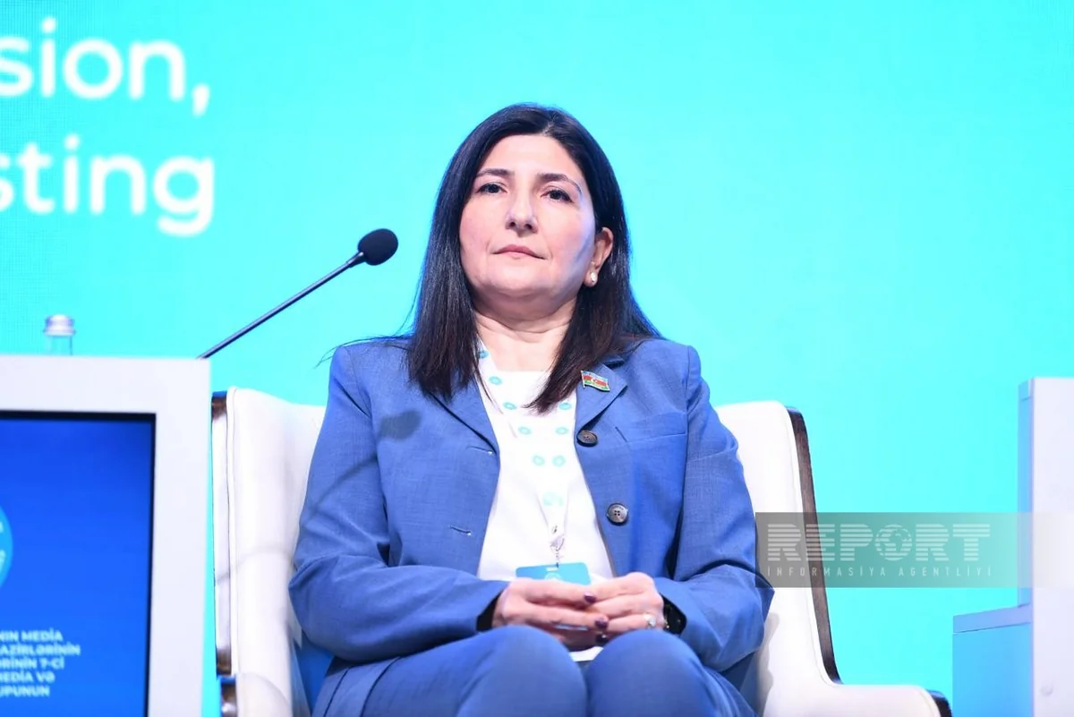 Deputat: Media dinamik inkişaf etsə də, bu sahədə qanunvericiliyin tətbiqi geridə qalır