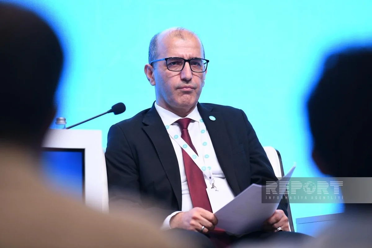 Alptekin Cihangir İşbilir: Türk dövlətlərinin vahid məlumat bazasının olmaması təəssüf doğurur