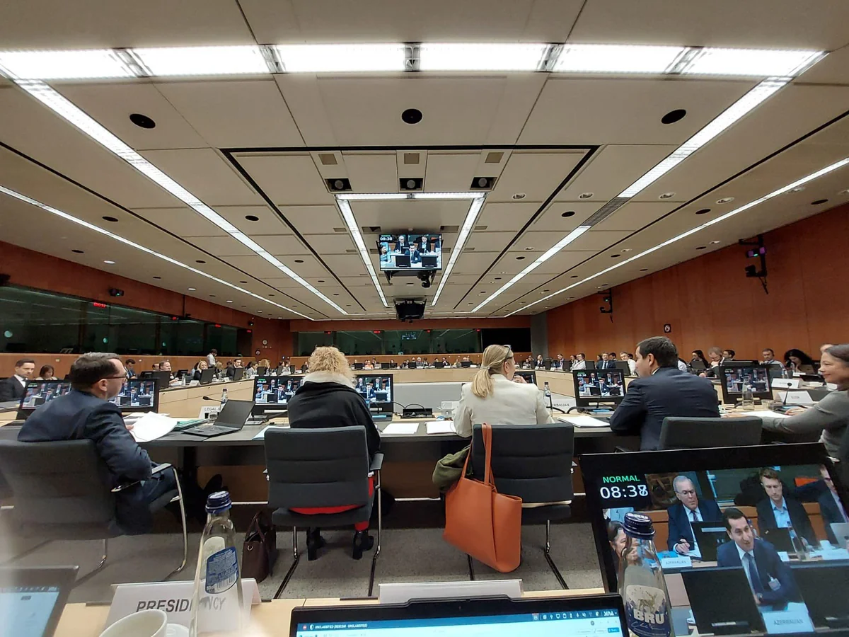 Hikmat Hajiyev briefs EU Committee members on Azerbaijan's peace agenda, Zangazur Corridor