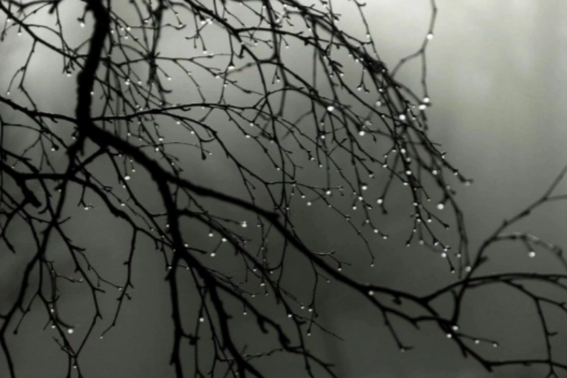 Şənbə günü çiskinli yağış yağacaq