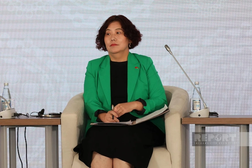 Посол Китая в Азербайджане находится в Нахчыване