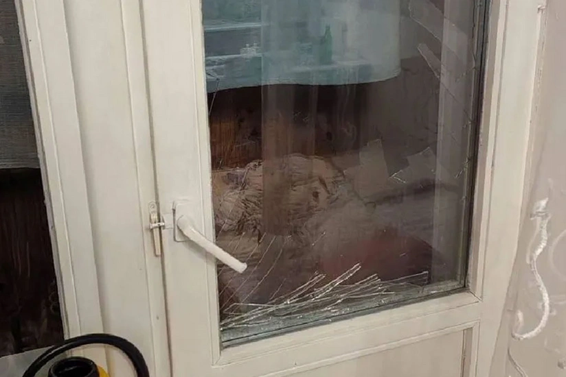 В Новосибирске собака взорвала баллон с дихлофосом