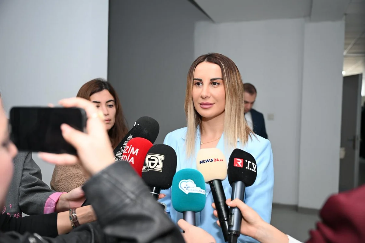 TƏBİB внедрил модульный проект для контроля и обеспечения лекарствами больных диабетом