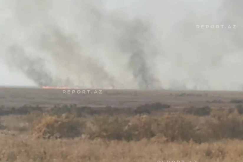 Cəlilabadda ovçuluq təsərrüfatı ərazisində yanğın başlayıb