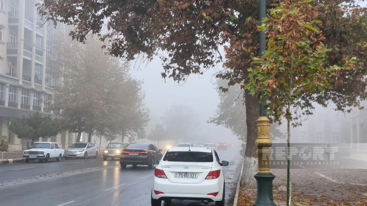 Naxçıvan DYP hava şəraiti ilə əlaqədar yol hərəkəti iştirakçılarına müraciət edib