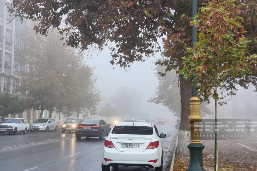 Naxçıvan DYP hava şəraiti ilə əlaqədar yol hərəkəti iştirakçılarına müraciət edib