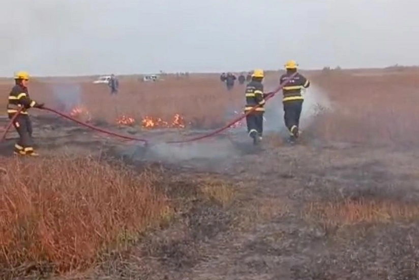 FHN Cəlilabadda açıq ərazidə baş verən yanğınla bağlı məlumat yayıb