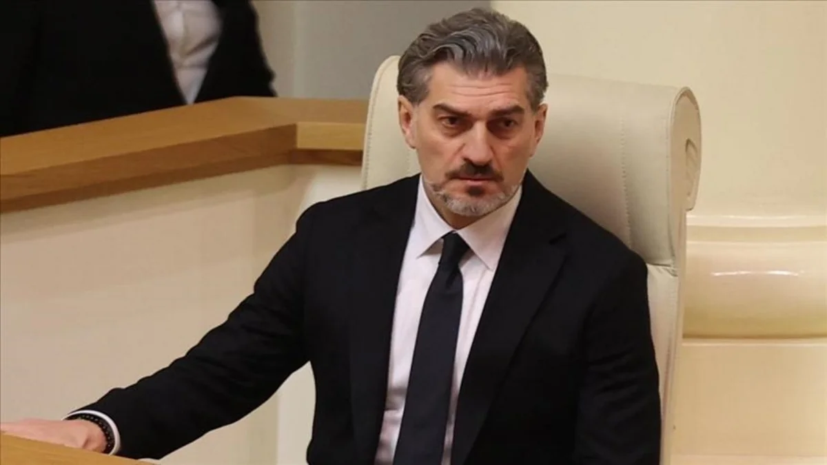 Kavelaşvili: Tbilisidəki aksiyaları Aİ–Gürcüstan münasibətlərində maraqlı olmayan qüvvələr təşkil edir