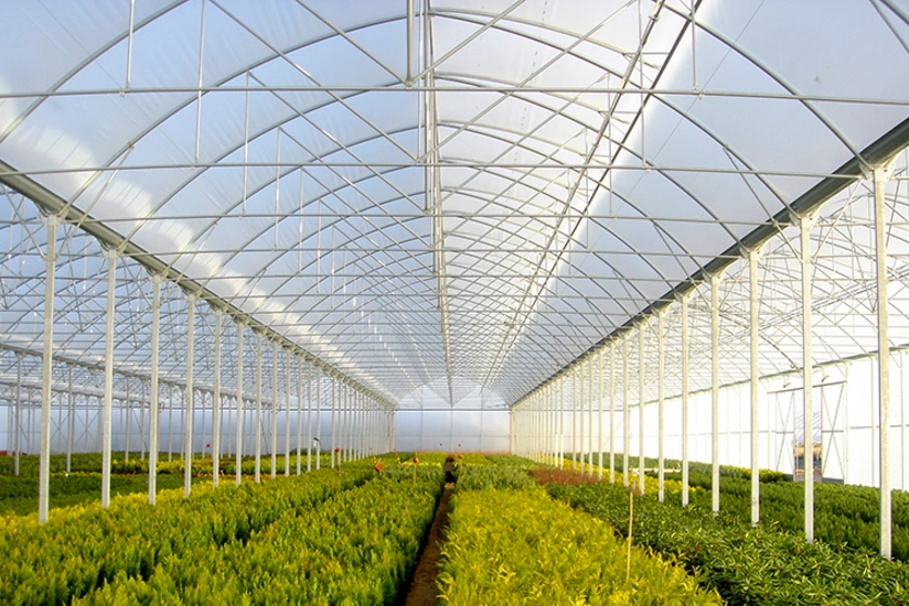 Azərbaycanda kənd təsərrüfatı obyektlərinin tikintisinə icazə tələb olunacaq