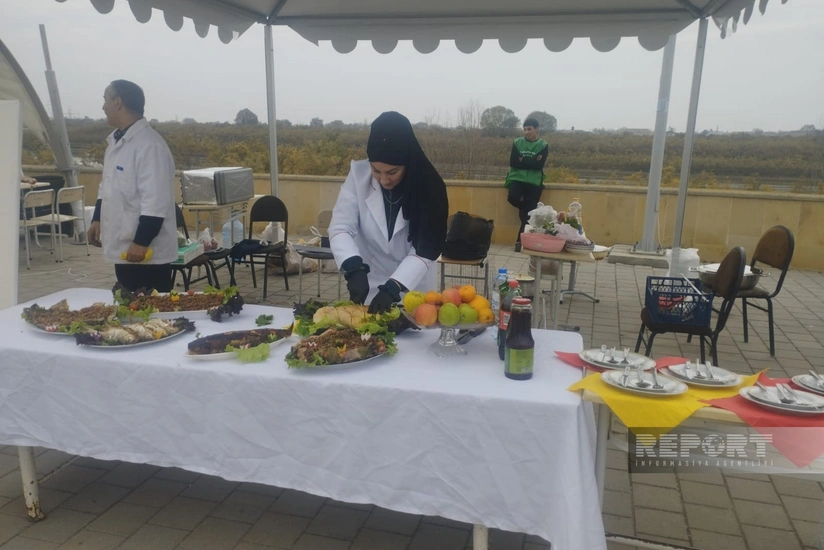 Neftçalada ilk dəfə Balıq Festivalı keçirilib