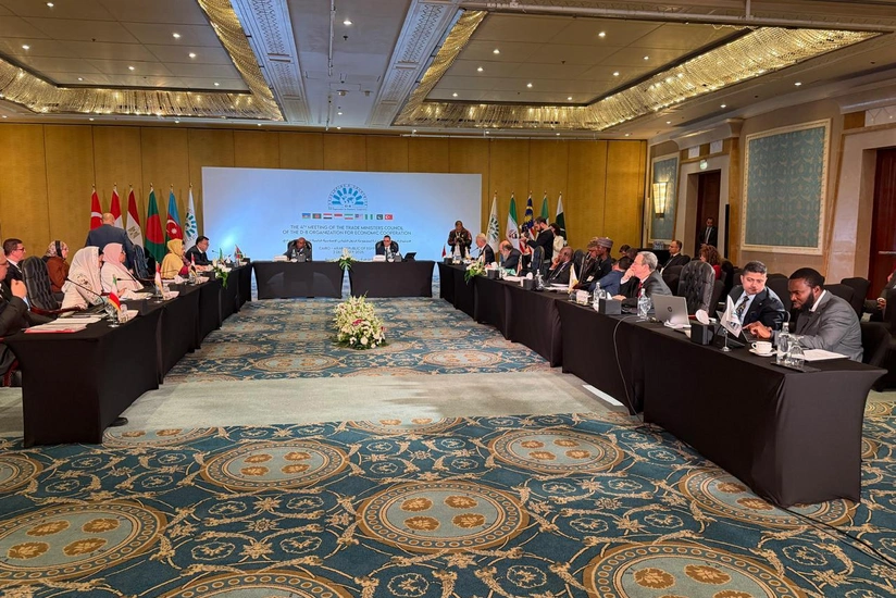 Азербайджан заявил о наличии эффективного партнерства со странами D-8