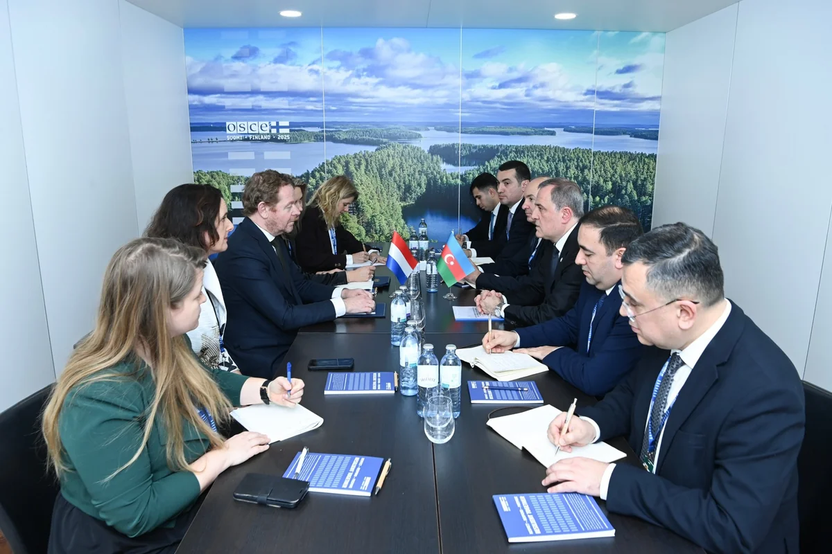 Foreign Ministers of Azerbaijan and Netherlands hold political consultations in Vienna