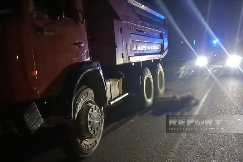 Salyanda avtomobil 20 başdan çox xırdabuynuzlu heyvanı vuraraq tələf edib